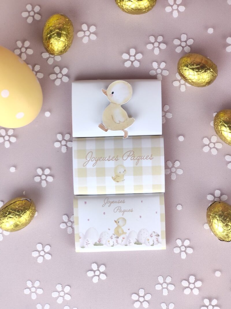 Chocolats Mignons! (x3) – Image 3