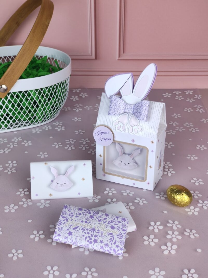 Chocolats Mignons! (x3)
