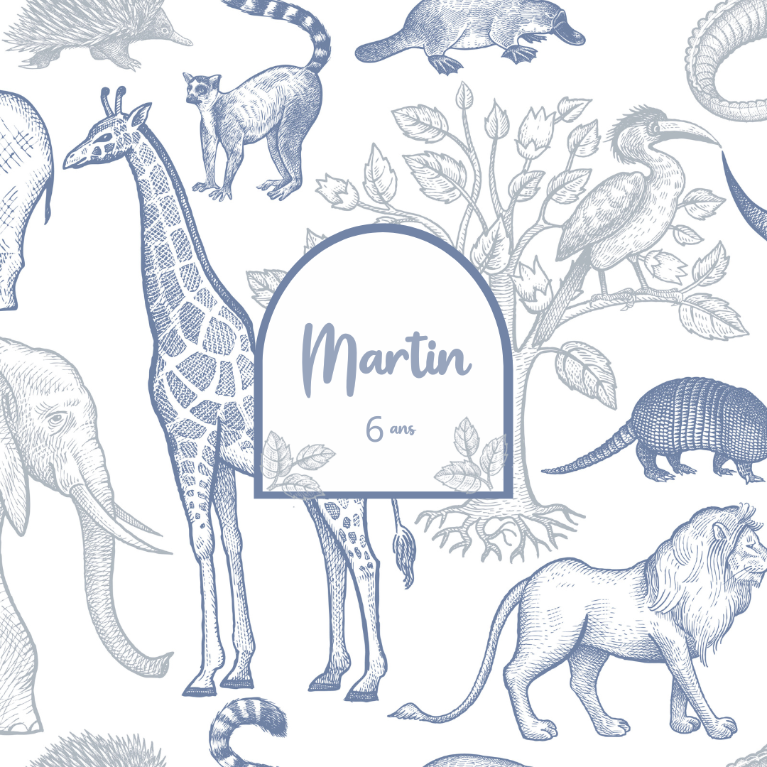 design safari